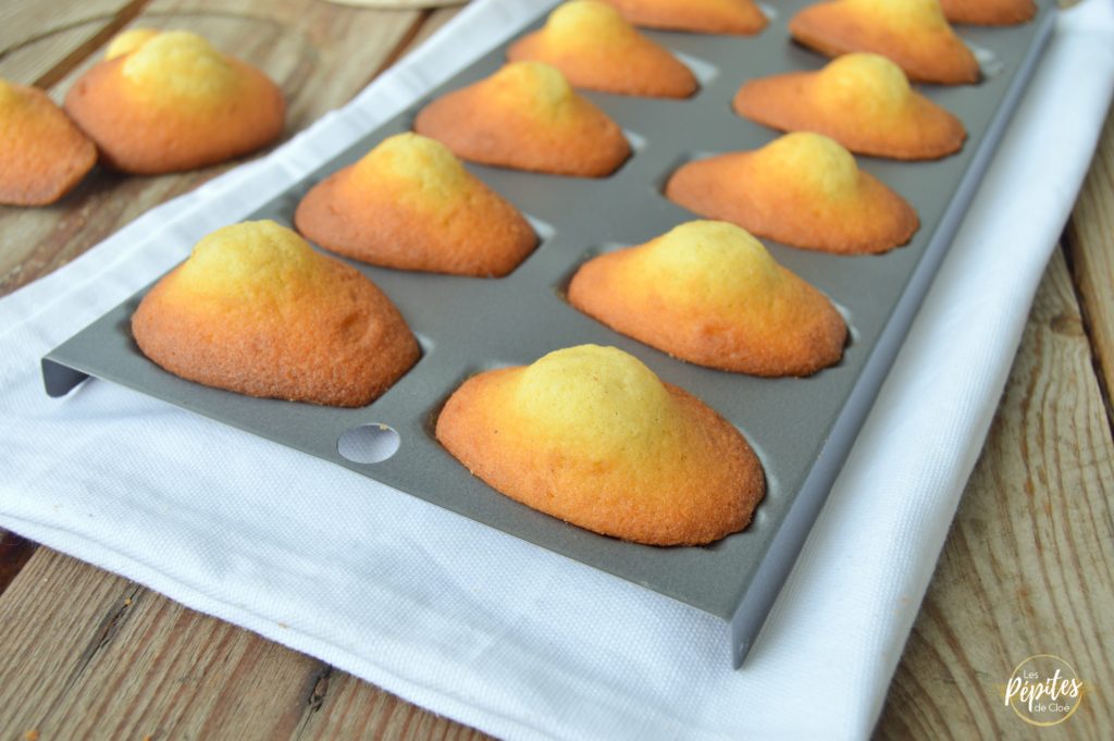 La Recette Des Madeleines Les Pepites De Cloe La Recette Des Madeleines Les Pepites De Cloe